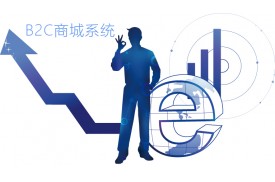 这些知识，让您企业定制开发B2C商城少走弯路！